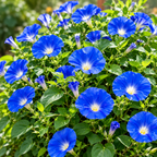 13789