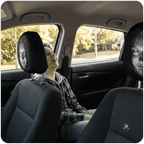 Car Headrest Scary Face Cover – Car Seat Decoration (Pack of 2)